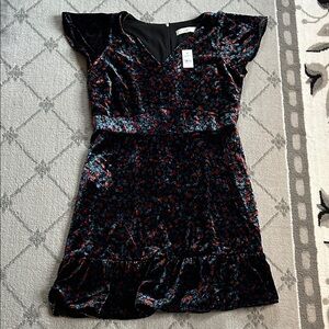 LOFT Floral Velvet Dress